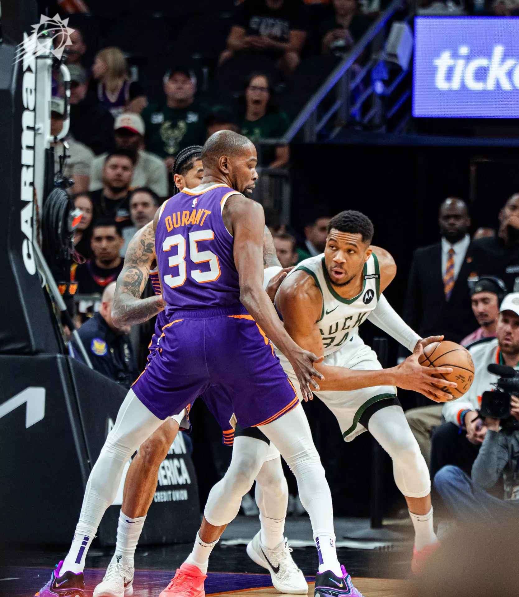 雄鹿挑战太阳，双方火花四溅的简单介绍